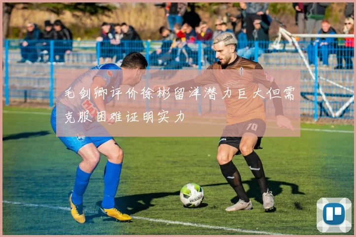 毛剑卿评价徐彬留洋潜力巨大但需克服困难证明实力