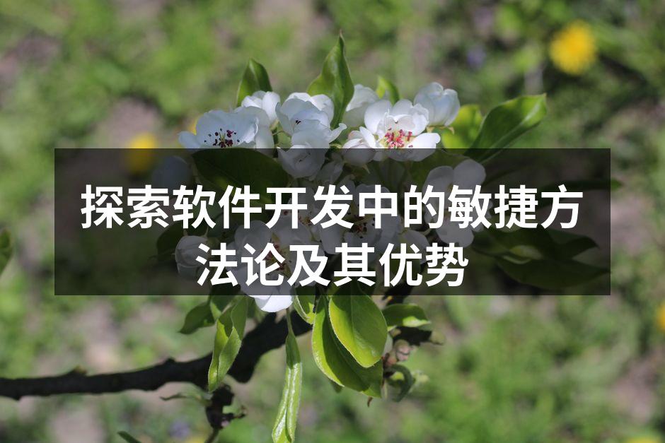 敏捷开发团队会议